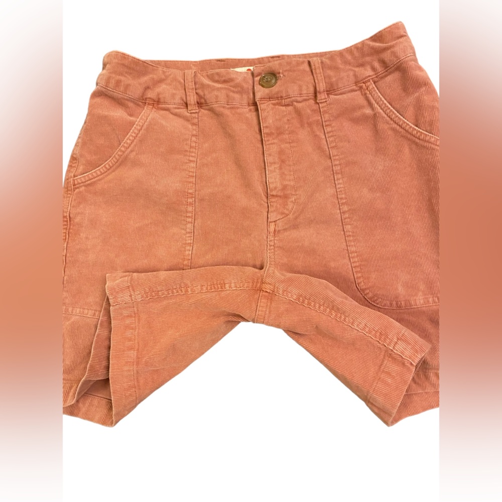 Marine Layer Corduroy Surf Short In Baked Clay View 5